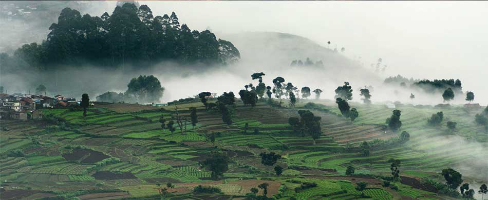 Kodaikanal