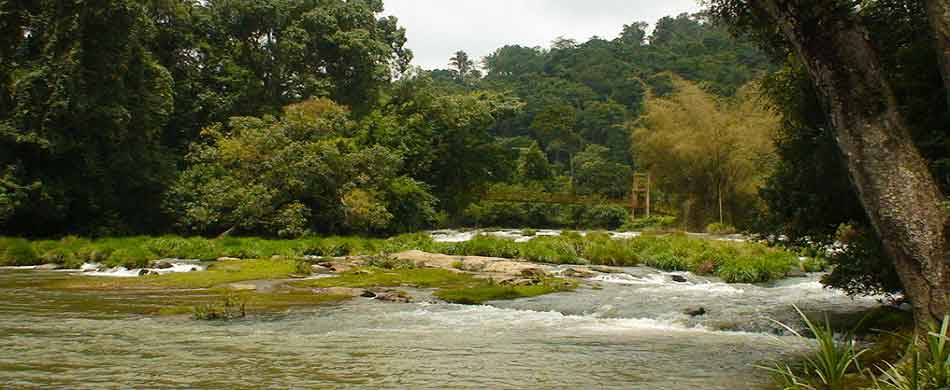 Coorg