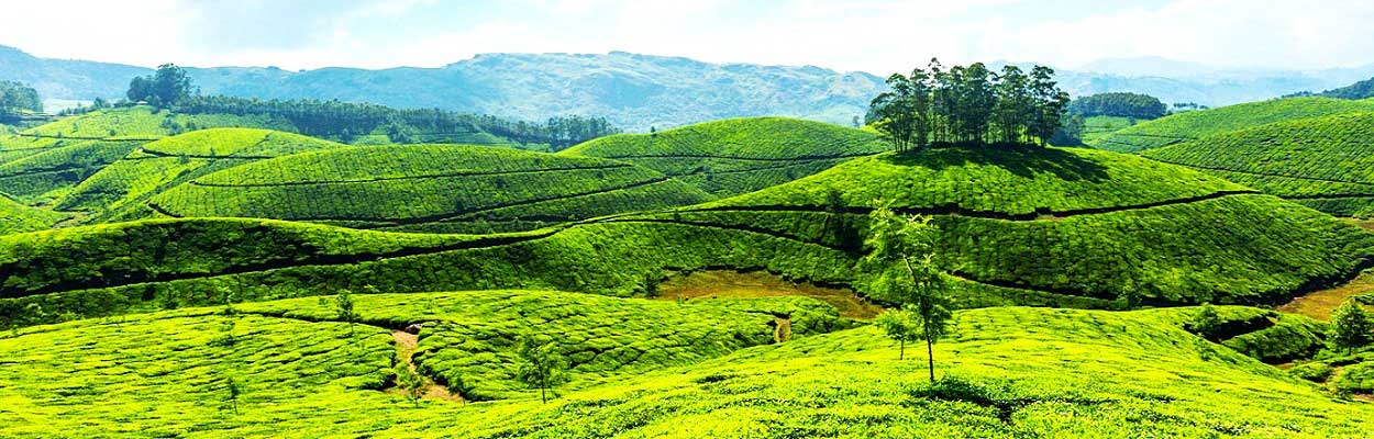 Munnar Hill Station