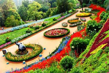 ooty tour packages from trichy