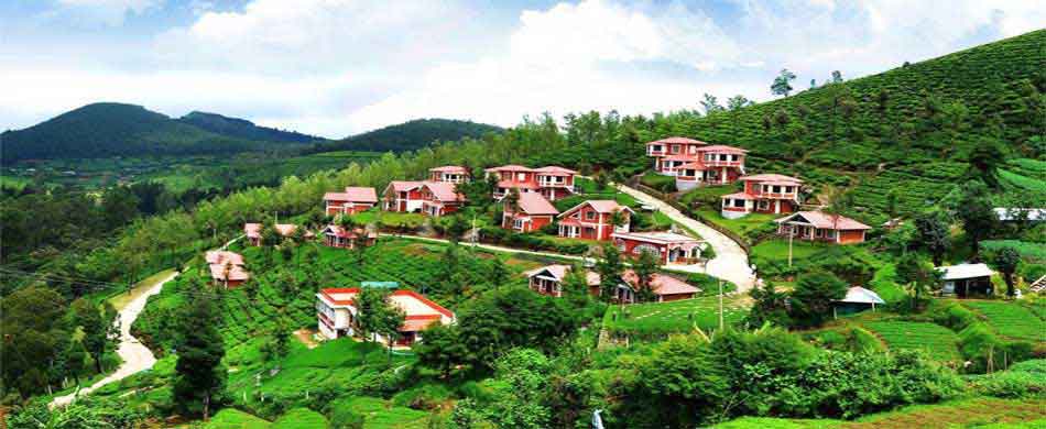 ooty tour packages from trichy