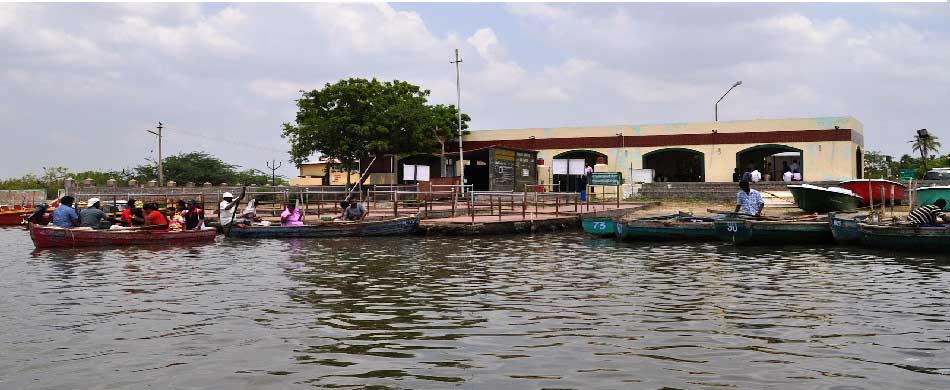 Pichavaram Lake